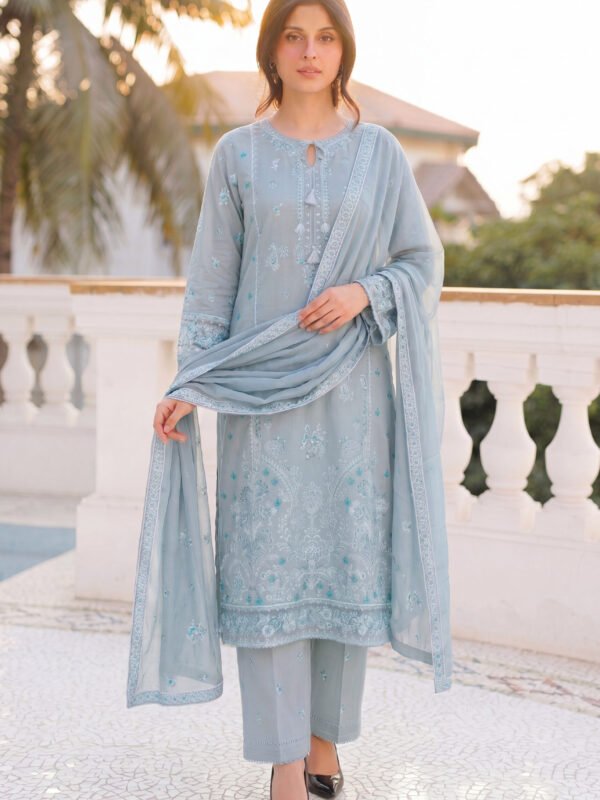 Stylish 3 Piece Embroidered Suit for Women